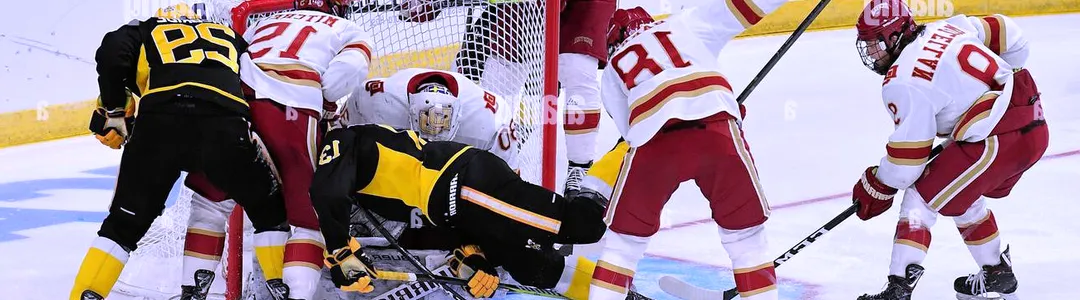 American International Yellow Jackets