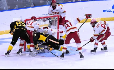 American International Yellow Jackets