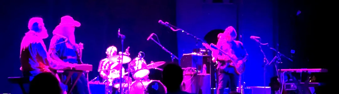 Live Dead & Brothers - Grateful Dead and Allman Brothers Tribute