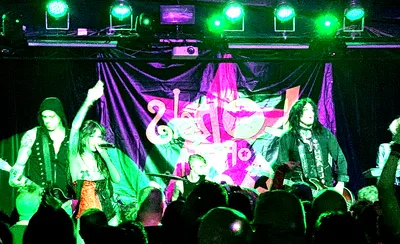 Lords of Acid